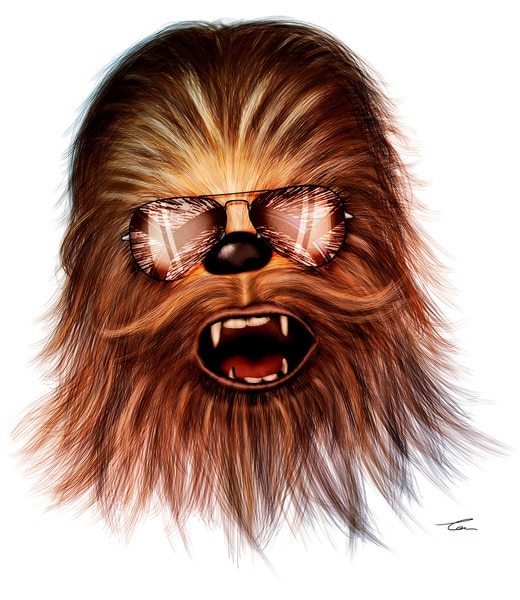 chewbacca-avaitors.jpg